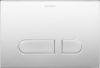 Durasystem Chrome High Gloss MEchanical Flush Plate For Wc 217X10X147 mm
