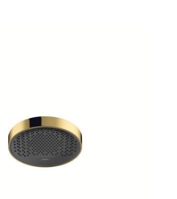 Rainfinity 250 1Jet Overhead shower ceiling Polished Gold Optic