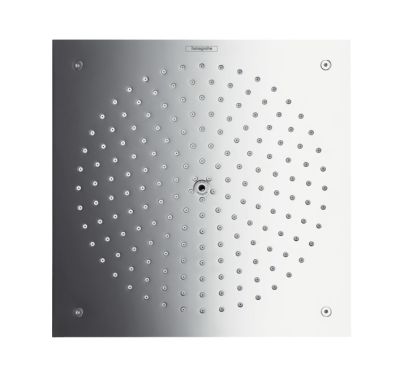 Raindance 260X260 Up Ecosmart