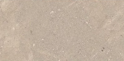 Fossil Earth Matt 600x1200x10mm (2.16sqm/box)